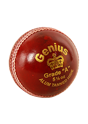 CRICKET BALL GENIUS