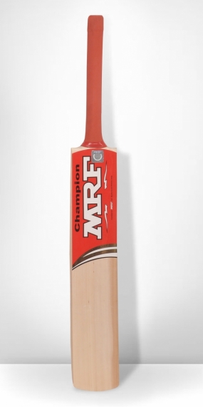 MRF Kashmir Willow Champion